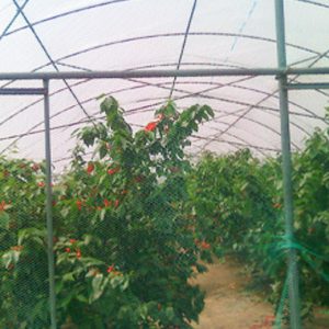 高效转光农膜（农用转光大棚膜）