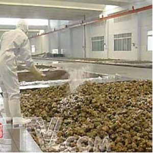 榨菜专用膜